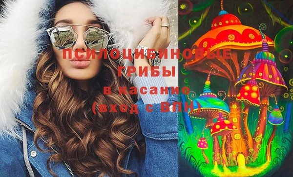 PSILOCYBIN Волоколамск